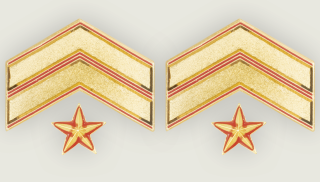 Metal Braid. Major Warrant Officer