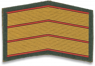 Military Badges Albainox