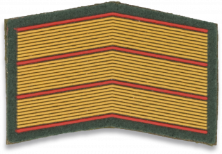 Écusson militaire PVC