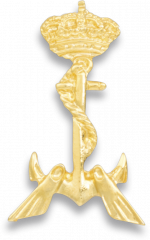 Elementary Diver badge