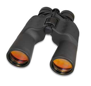 Albainox binocular 10-30x50 Grey Ruby