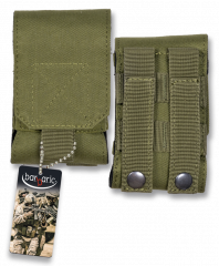 Pouch with molle system