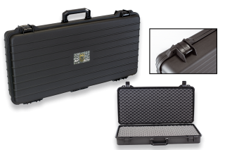 Golden Eagle carrying case