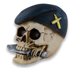 Resin head. Militar skull
