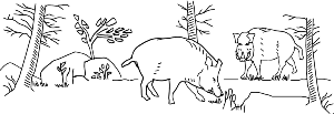 GR518