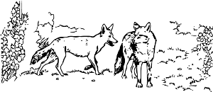 GR572