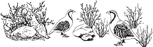 GR574